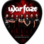 Custom guitar picks