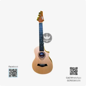 Electroc shape ukulele